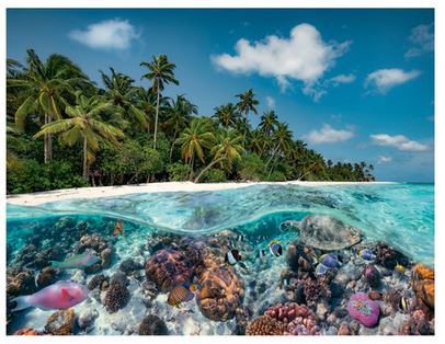 A Dive in the Maldives 2000 pc Puzzle