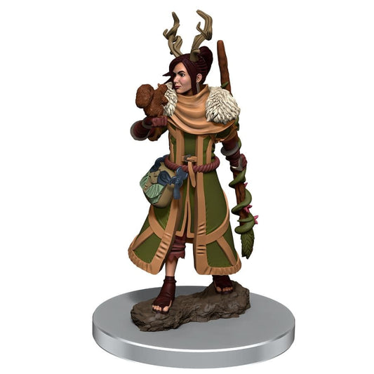 Dungeons And Dragons: Icons Of The Realms Premium Figure (Wave 7): Female Human Druid