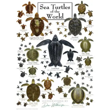 Sea Turtles of the World Puzzle