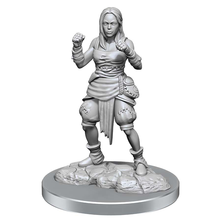 Pathfinder - Deep Cuts Unpainted Miniatures - W21 Human Half-Elf Monks