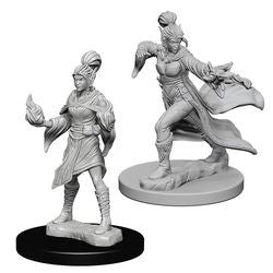 Pathfinder: Deep Cuts Unpainted Miniatures - Elf Female Sorcerer - Boardlandia